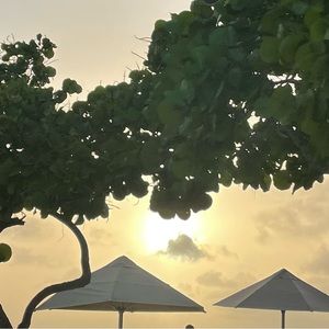 Meet your Posher, Flavia